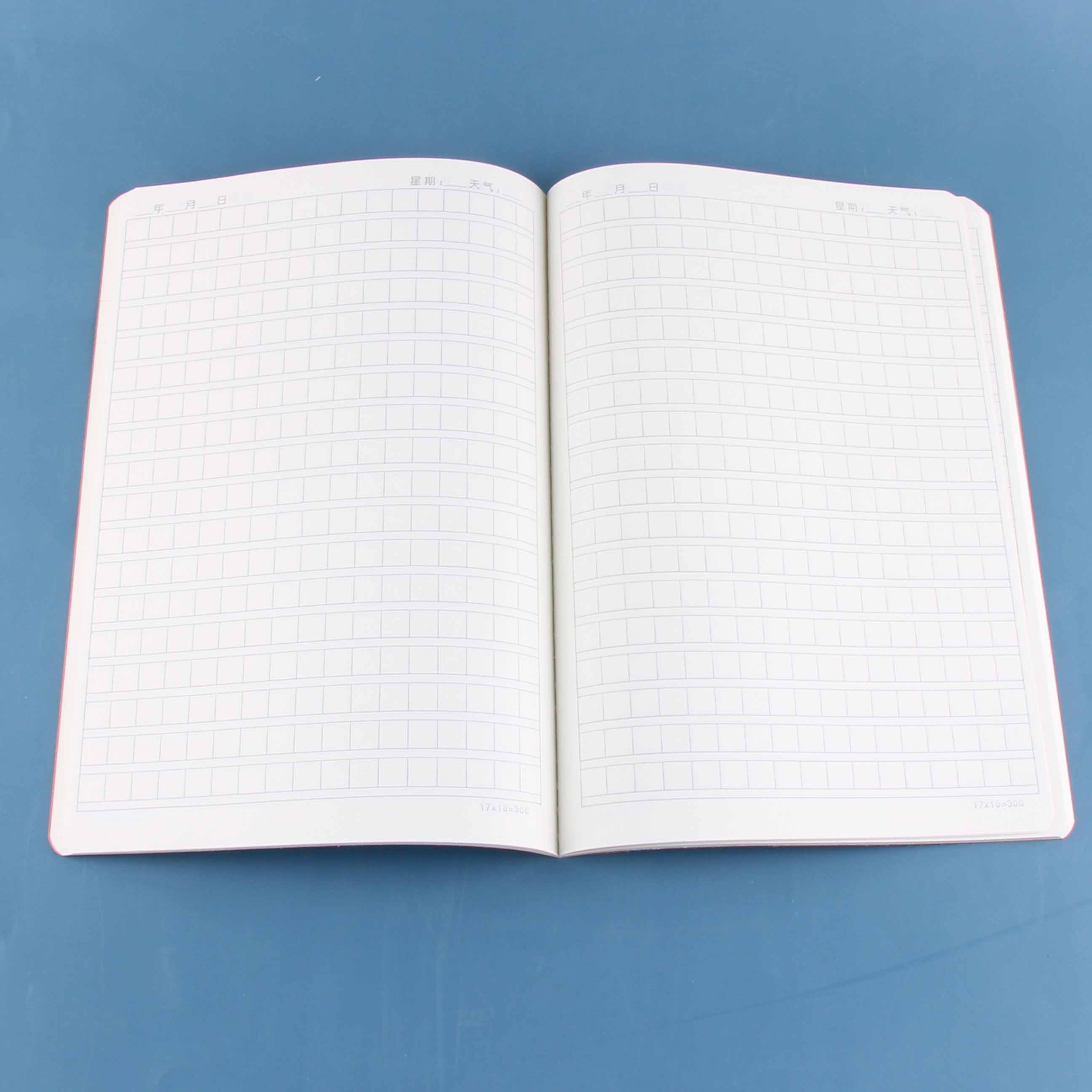 16k bronzing language text (44 pages) - Image 3