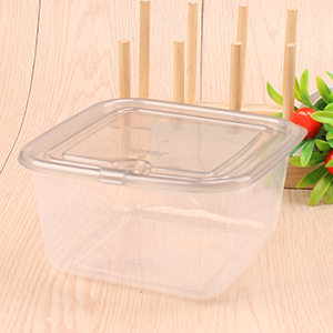 1024-2 Square Food Storage Containers