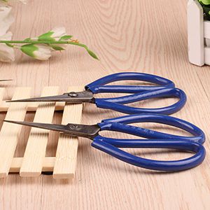 Blue Handle Scissors - Ảnh 2