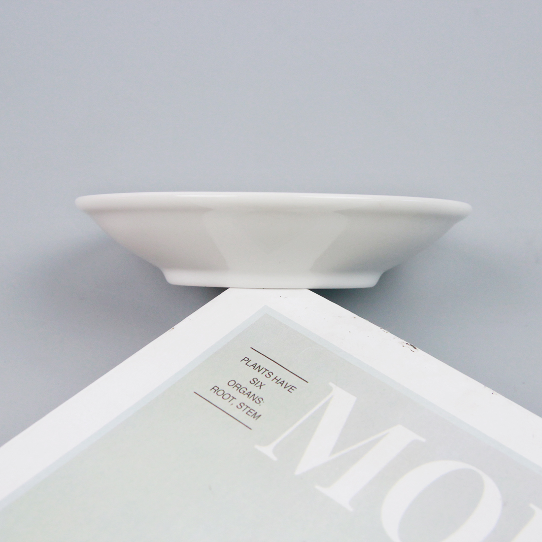 Jingdezhen N11-4 inch flavor plate (φ100 x 20mmH) - Image 3