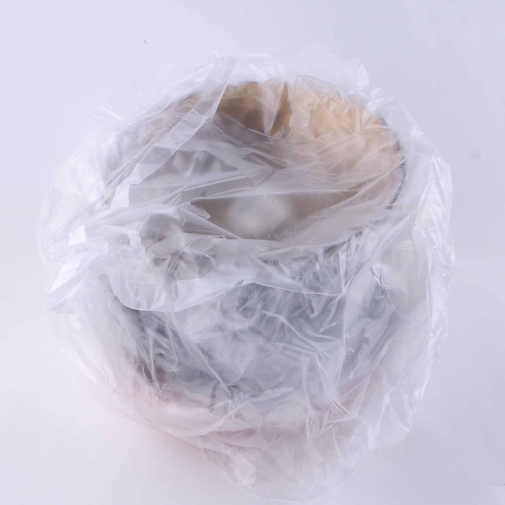 Lc904 Round Dot Fruit Plate - Image 4