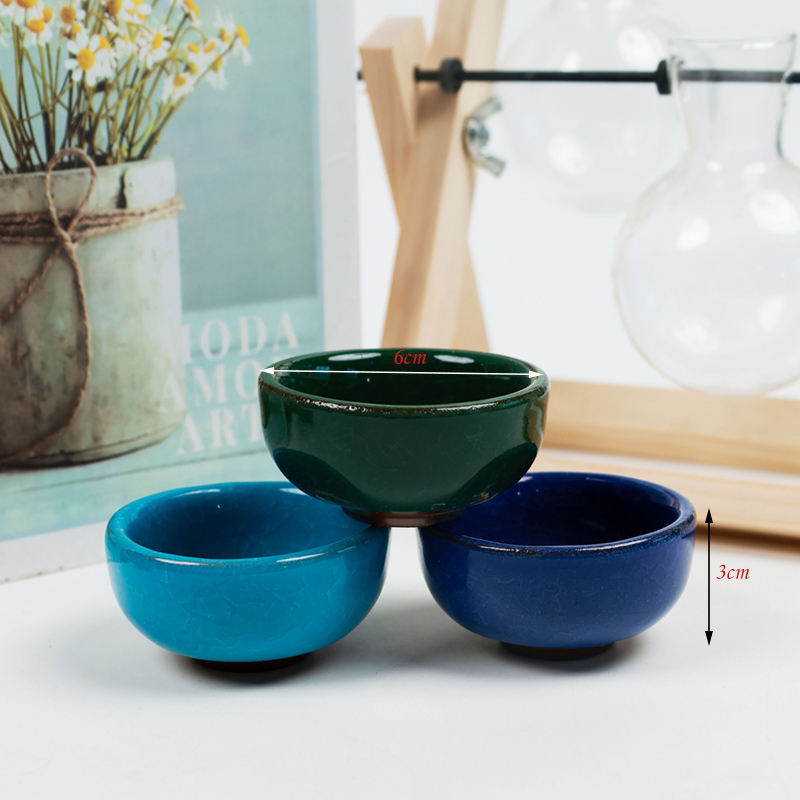 Crack 8 Color Fish Cup - Image 2