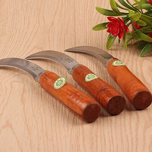 Wooden Handle Pineapple Knife