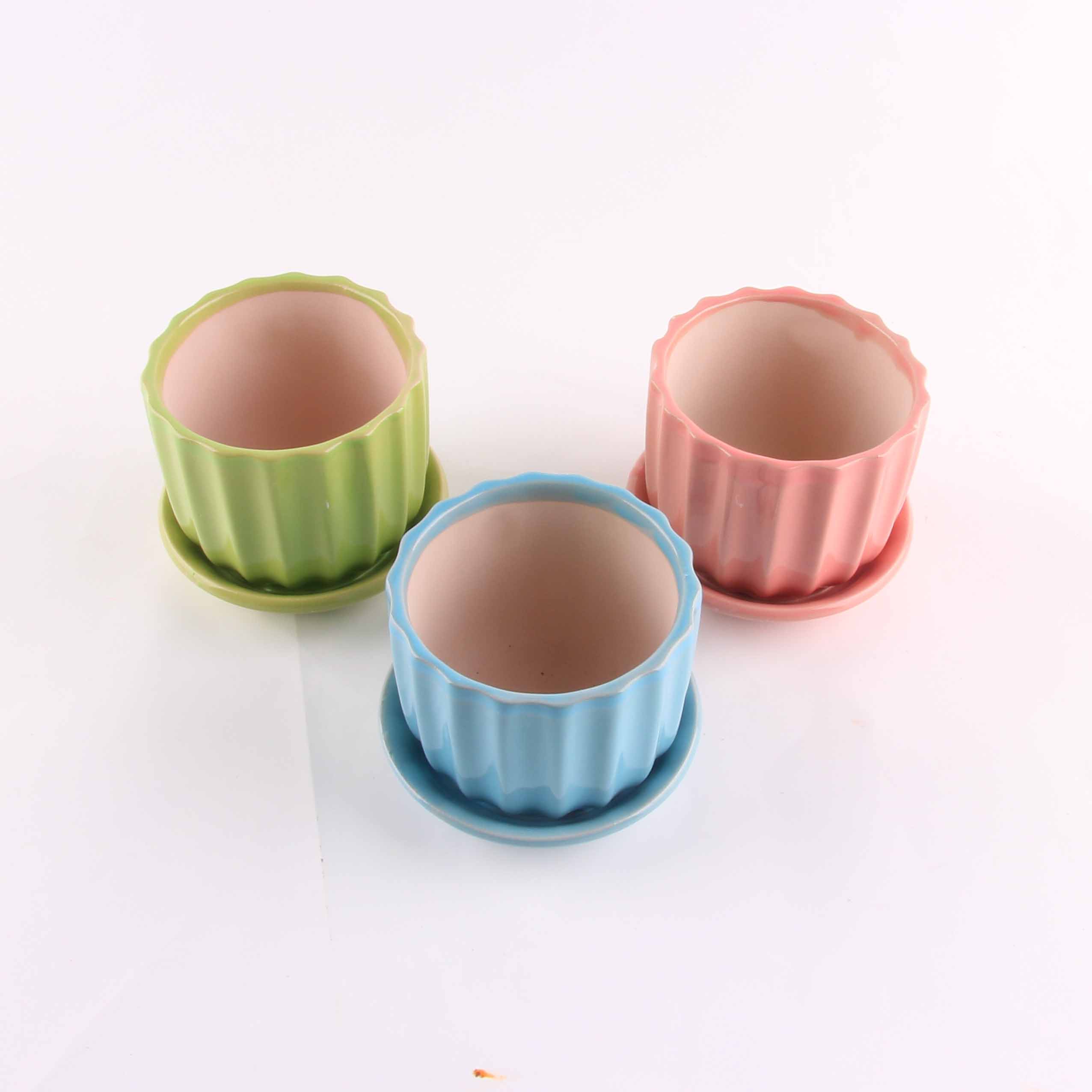 Mini Flower Pot (With Tray)
