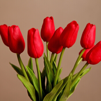 Artificial Tulip - 图片 2