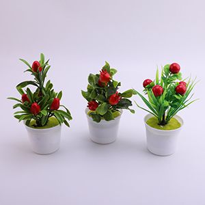 Fruit Miniature Landscape