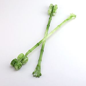 Bamboo Joint Four-Wheel Itching Stick