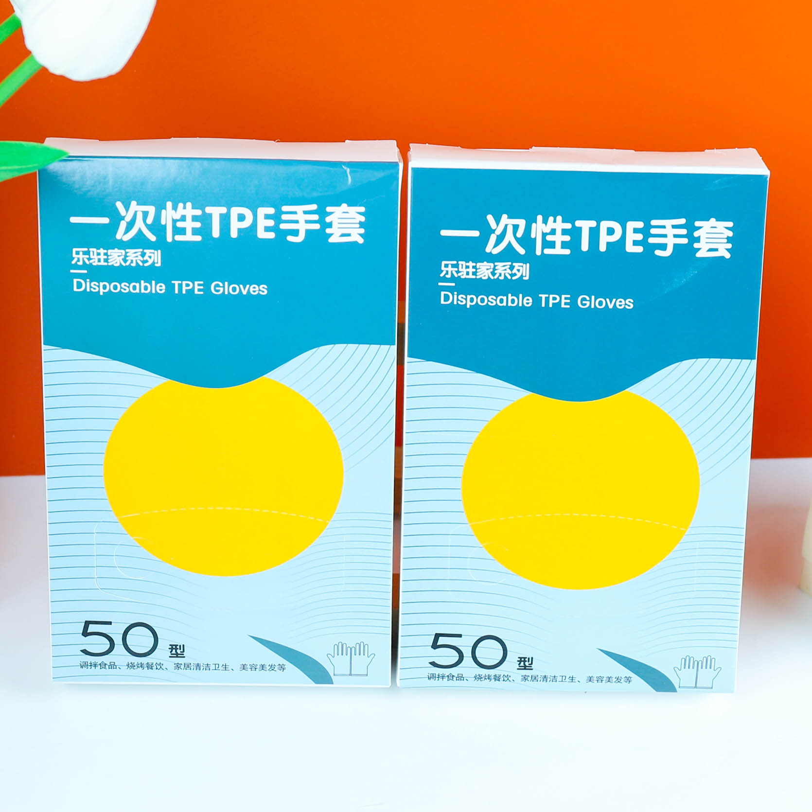 Lezhu Home 166 Disposable Tpe Gloves