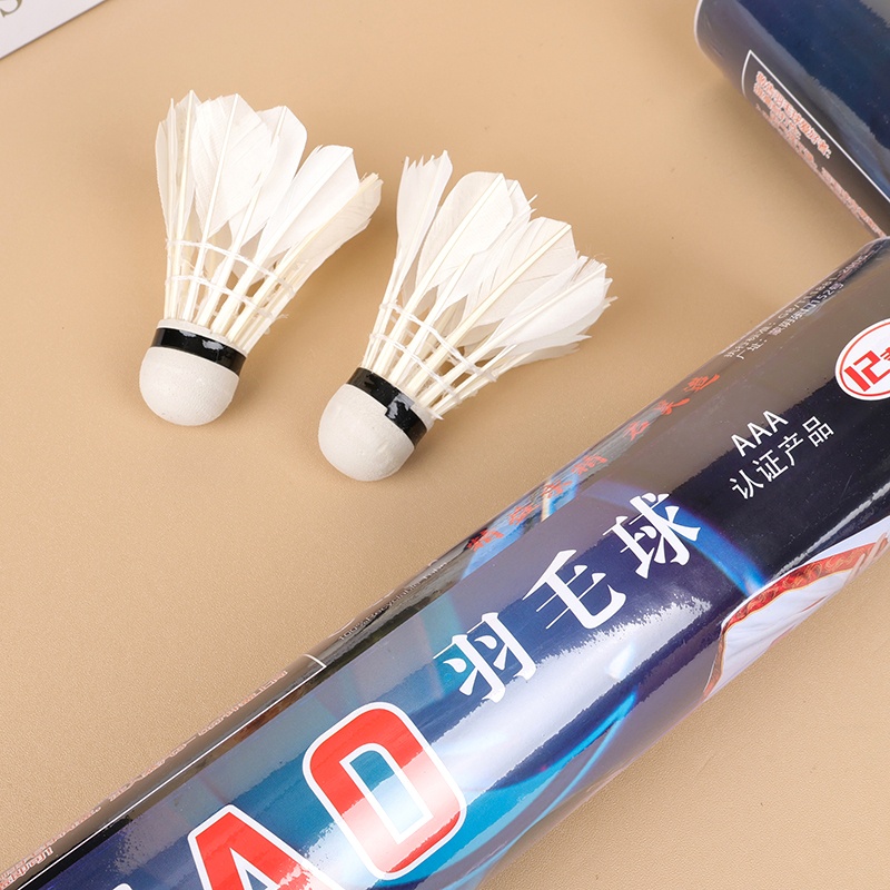 Jun Hao 1001 Badminton (Single Sale)