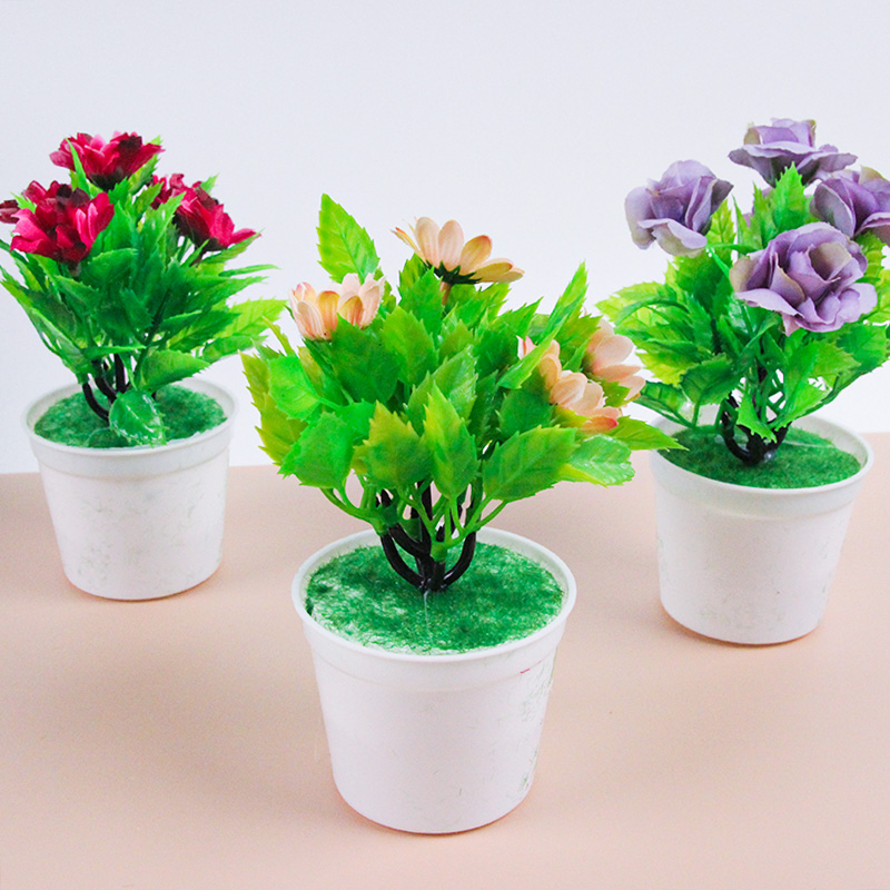 Mixed Miniature Potted Plants
