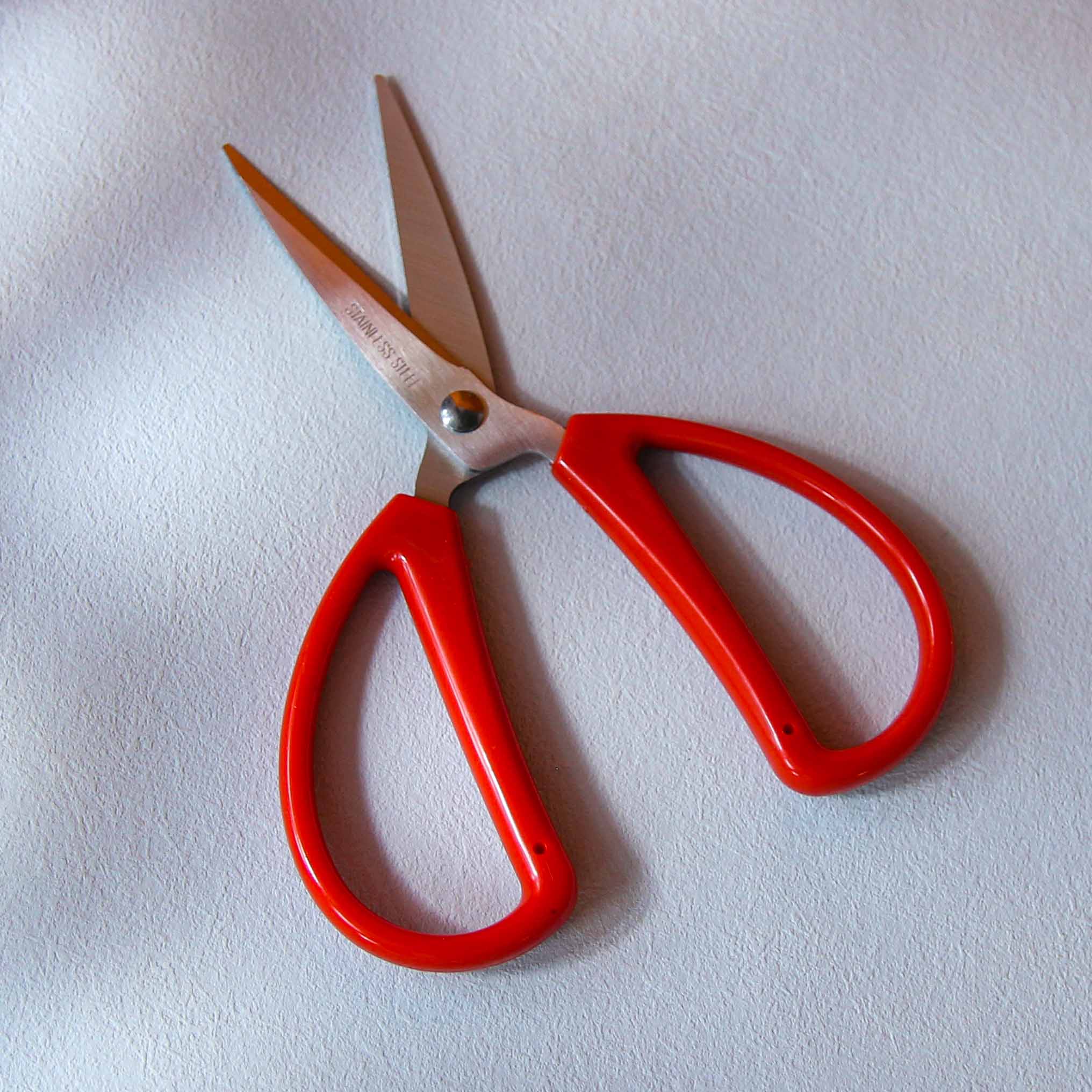 E31 Scissors
