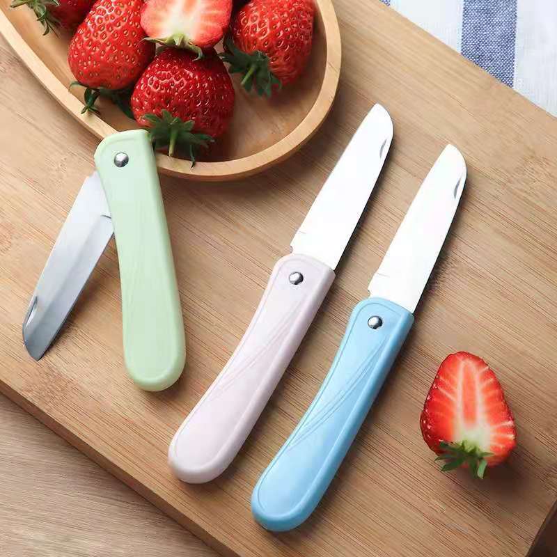 Macaron Color Folding Fruit Knife