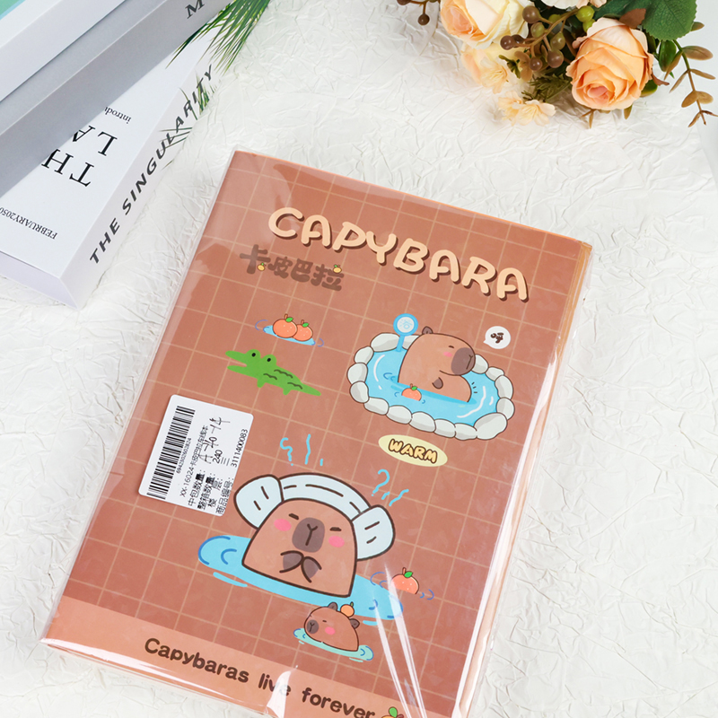 XX-16024 Kapi Barra Linerbook