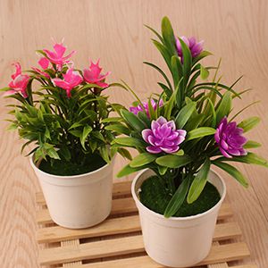 2 Yuan Miniature Landscape