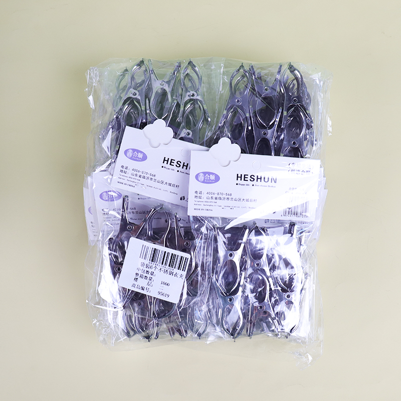Heshun Bag 6 Stainless Steel Clothes Peg