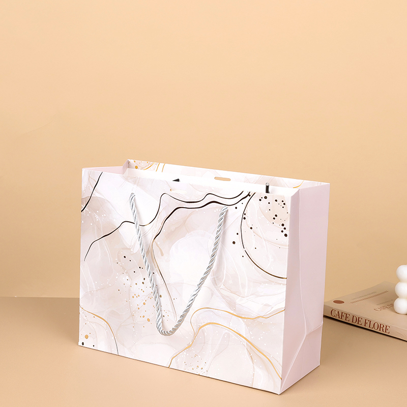 1013 Medium Gift Bag with Ribbon 24.5x19.5cm Cardpaper 4040400123